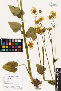 SW_BNB_s3070-04381_IMG-0000000001