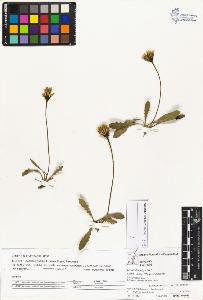 SW_BNB_s3070-04388_IMG-0000000001