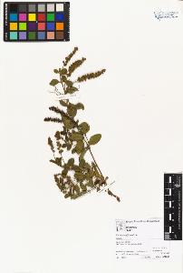 SW_BNB_s3070-04389_IMG-0000000001