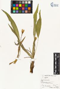 SW_BNB_s3070-04390_IMG-0000000001