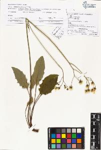 SW_BNB_s3070-04391_IMG-0000000001