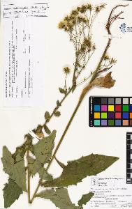 SW_BNB_s3070-04395_IMG-0000000001