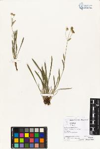 SW_BNB_s3070-04396_IMG-0000000001