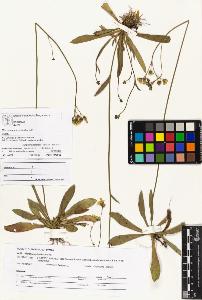 SW_BNB_s3070-04397_IMG-0000000001
