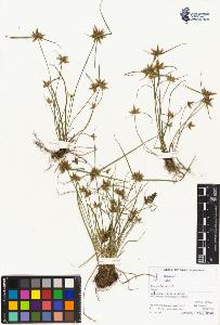 SW_BNB_s3070-04399_IMG-0000000001