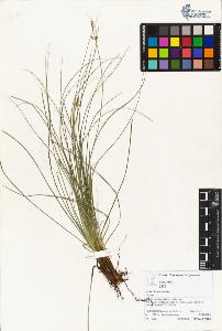 SW_BNB_s3070-04402_IMG-0000000001