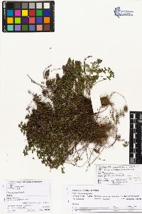 SW_BNB_s3070-04405_IMG-0000000001