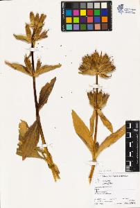 SW_BNB_s3070-04409_IMG-0000000001