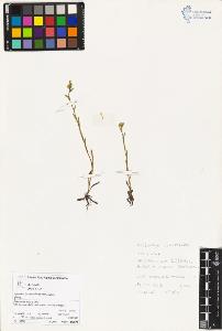 SW_BNB_s3070-04410_IMG-0000000001