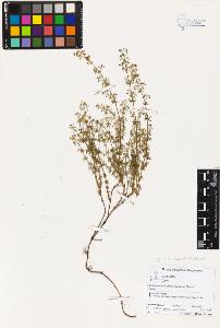 SW_BNB_s3070-04412_IMG-0000000001