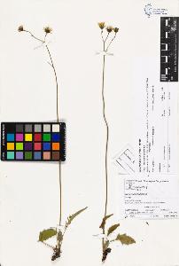 SW_BNB_s3070-04414_IMG-0000000001