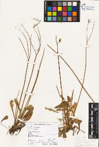 SW_BNB_s3070-04418_IMG-0000000001