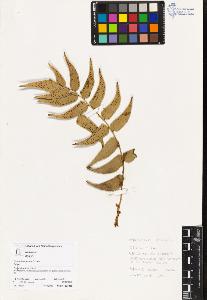 SW_BNB_s3070-04425_IMG-0000000001