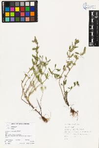 SW_BNB_s3070-04428_IMG-0000000001
