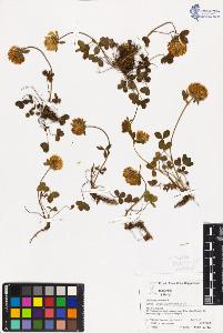 SW_BNB_s3070-04430_IMG-0000000001