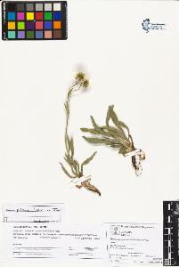 SW_BNB_s3070-04434_IMG-0000000001