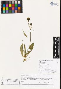 SW_BNB_s3070-04436_IMG-0000000001