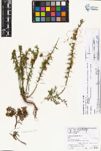 SW_BNB_s3070-04437_IMG-0000000001