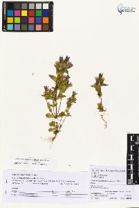 SW_BNB_s3070-04438_IMG-0000000001
