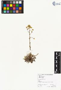 SW_BNB_s3070-04440_IMG-0000000001
