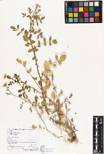 SW_BNB_s3070-04447_IMG-0000000001