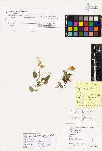 SW_BNB_s3070-04456_IMG-0000000001