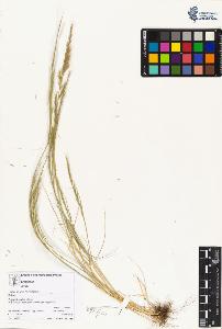 SW_BNB_s3070-04458_IMG-0000000001