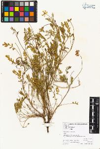 SW_BNB_s3070-04464_IMG-0000000001
