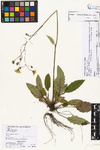 SW_BNB_s3070-04465_IMG-0000000001