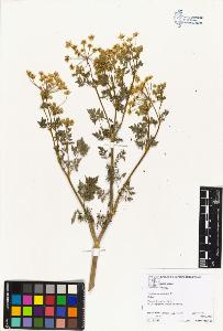 SW_BNB_s3070-04476_IMG-0000000001