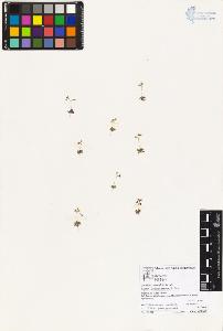 SW_BNB_s3070-04481_IMG-0000000001