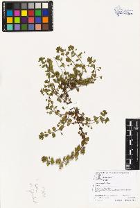SW_BNB_s3070-04490_IMG-0000000001