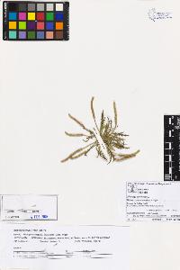 SW_BNB_s3070-04491_IMG-0000000001