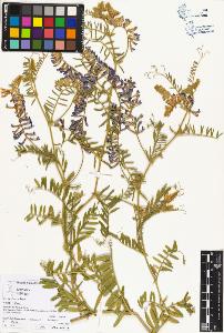 SW_BNB_s3070-04493_IMG-0000000001