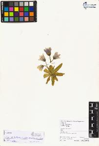 SW_BNB_s3070-04497_IMG-0000000001