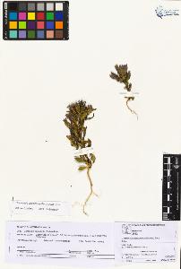 SW_BNB_s3070-04499_IMG-0000000001