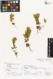 SW_BNB_s3070-04500_IMG-0000000001