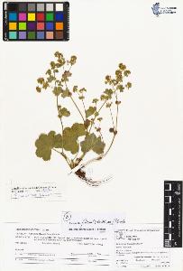 SW_BNB_s3070-04501_IMG-0000000001