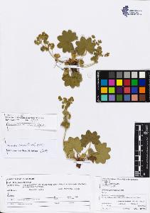 SW_BNB_s3070-04502_IMG-0000000001