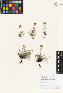 SW_BNB_s3070-04505_IMG-0000000001
