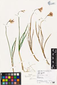 SW_BNB_s3070-04506_IMG-0000000001
