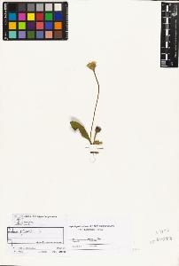 SW_BNB_s3070-04512_IMG-0000000001