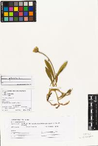 SW_BNB_s3070-04513_IMG-0000000001
