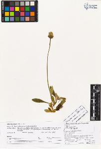 SW_BNB_s3070-04514_IMG-0000000001