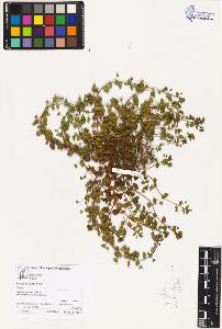 SW_BNB_s3070-04518_IMG-0000000001