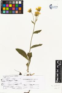 SW_BNB_s3070-04520_IMG-0000000001