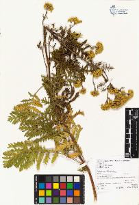 SW_BNB_s3070-04521_IMG-0000000001