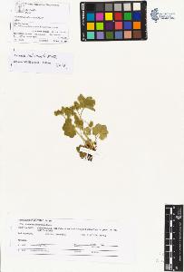 SW_BNB_s3070-04522_IMG-0000000001