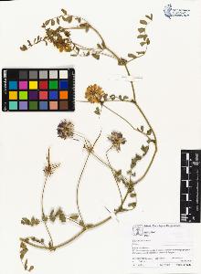 SW_BNB_s3070-04528_IMG-0000000001