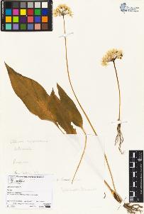 SW_BNB_s3070-04533_IMG-0000000001